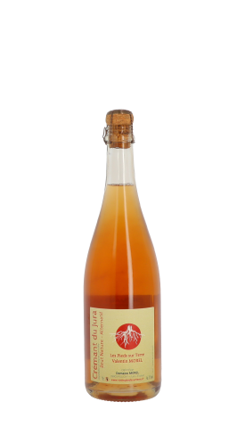 Les Pieds sur Terre, Crémant Alternatif 2018 Rosé 75cl