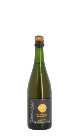 Les Pieds sur Terre Blanc de Noirs Blanc 75cl