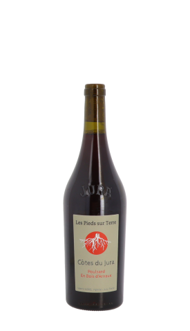 Les Pieds sur Terre, Poulsard En Bois d'Arnaux 2022 Rouge 75cl