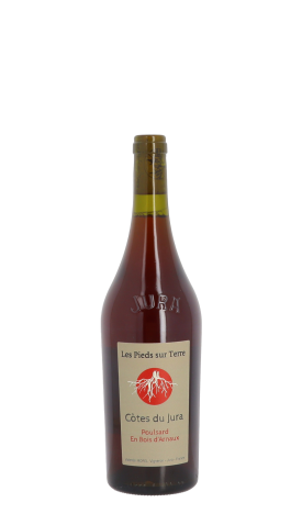 Les Pieds sur Terre, Poulsard En Bois d'Arnaux 2023 Rouge 75cl