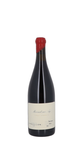 Champagne R. Pouillon & Fils, Mareuil 2023 Rouge 75cl