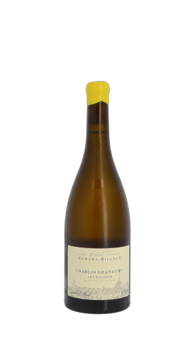 Domaine Samuel Billaud, Bougros 2020 Blanc 75cl
