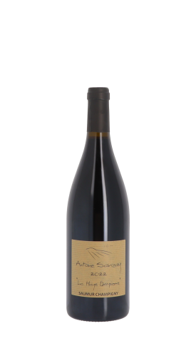 Antoine Sanzay Rge 2022 Rouge 75cl