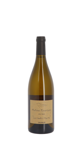 Domaine Antoine Sanzay, Les Salles Martin 2022 Blanc 75cl