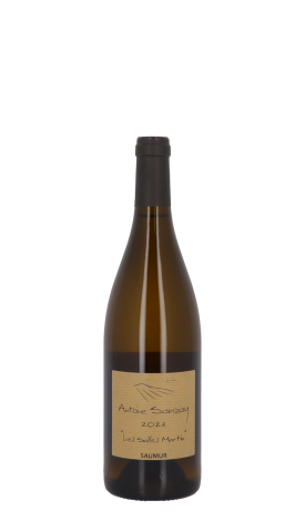 Domaine Antoine Sanzay, Les Salles Martin 2023 Blanc 75cl