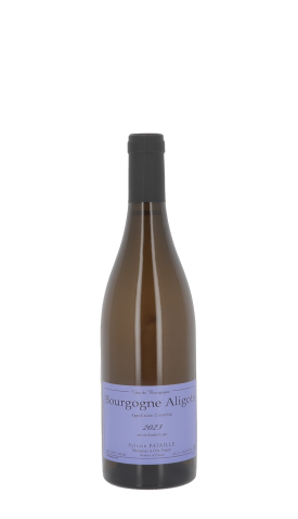 Domaine Sylvain Pataille 2023 Blanc 75cl