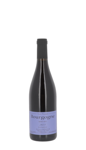 Domaine Sylvain Pataille 2023 Rouge 75cl