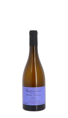 Domaine Sylvain Pataille, Champs Salomon 2022 Blanc 75cl