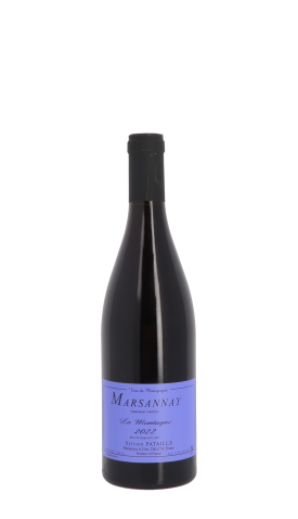 Domaine Sylvain Pataille, La Montagne 2022 Rouge 75cl