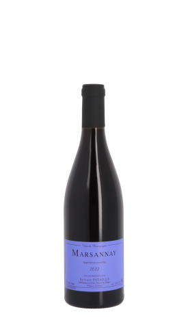 Domaine Sylvain Pataille 2022 Rouge 75cl