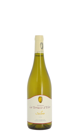 Domaine La Terrasse d'Elise, Siclène 2024 Blanc 75cl