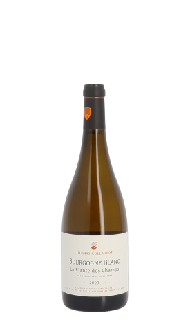 Thomas-Collardot, La Plante des Champs 2023 Blanc 75cl