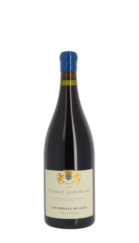 Domaine Thibault Liger-Belair 2019 Rouge Magnum