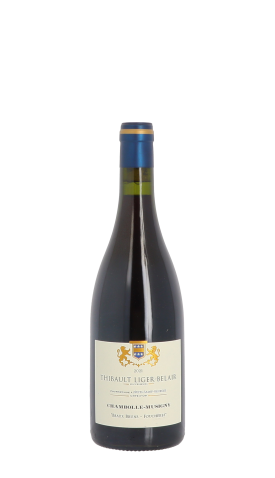 Thibault Liger-Belair, Aux Beaux Bruns 2021 Rouge 75cl