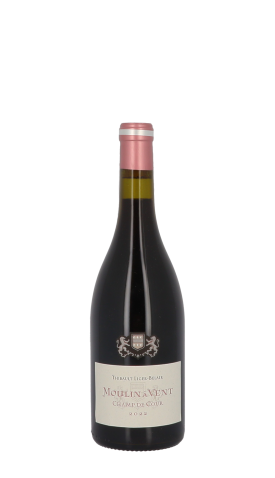 Domaine Thibault Liger-Belair, Champ de Cour 2022 Rouge 75cl