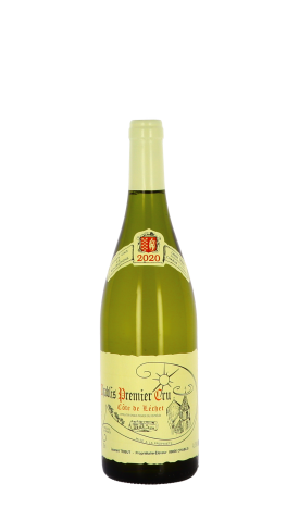 Domaine Tribut-Dauvissat, Côte de Lechet 2020 Blanc 75cl