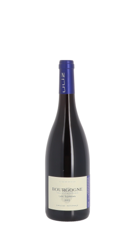 Antoine Petitprez, Les Sorbins 2022 Rouge 75cl