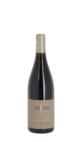 Domaine Vaïsse, Galibaou du Russe 2020 Rouge 75cl