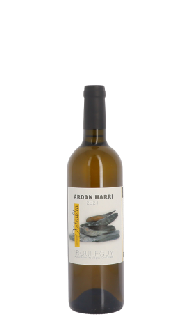 Domaine Xubialdea, Ardan Harri 2021 Blanc 75cl