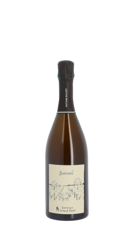 Champagne Antoine Bouvet, Bisseuil Blanc 75cl