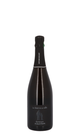 Champagne Antoine Bouvet, Les Monts de la Vallée Base 2023 Blanc 75cl