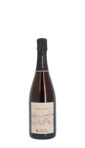 Champagne Antoine Bouvet, Saignée de Bisseuil Rosé 75cl