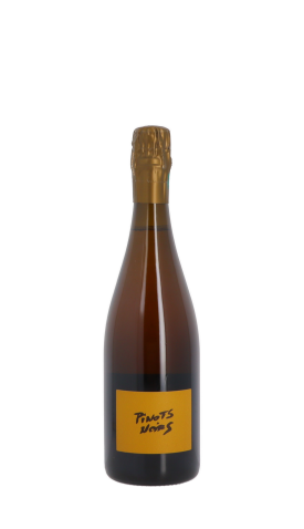 Champagne Brice Allouchery, Pinots Noirs Blanc 75cl