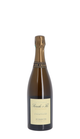 Champagne Bérêche & Fils, Ay 2017 Blanc 75cl