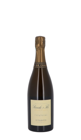 Champagne Bérêche & Fils, Ay 2018 Blanc 75cl