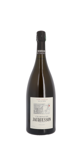 Champagne Jacquesson, Avize Champ Caïn 2014 Blanc Magnum