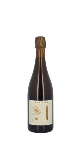 Champagne Legrand-Latour, Base Campanien 2020 Blanc 75cl