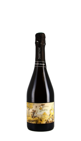 Aurélien Lemaire, Terres Jaunes Blanc 75cl