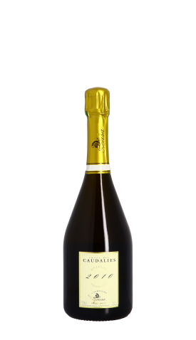 Champagne De Sousa, Caudalies 2010 Blanc 75cl