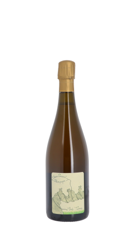 Champagne Thomas Perseval, Art'Terre 2020 Blanc 75cl