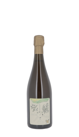 Champagne Thomas Perseval, Le Village 2020 Blanc 75cl