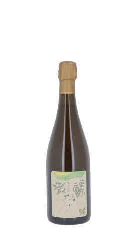 Champagne Thomas Perseval, Le Village 2020 Blanc 75cl