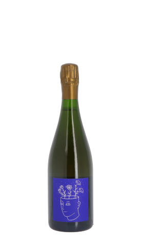 Stroebel Blc Blanc 75cl