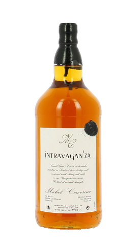 Michel Couvreur, Intravagan'za Magnum