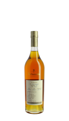 Cognac Delamain, Pléiade 1991 70cl