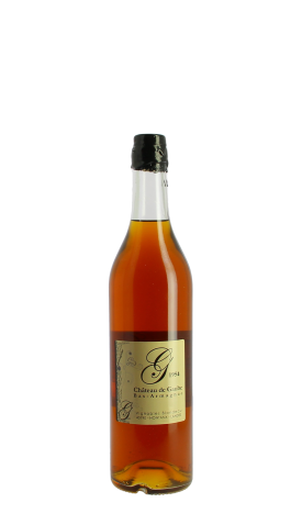 Château de Gaube 1954 70cl