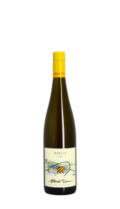 Domaine Albert Mann, Muscat 2020 Blanc