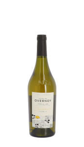 Domaine Guillaume Overnoy, Charmille 2020 Blanc