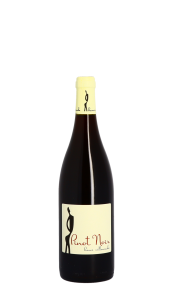Domaine Hervé Villemade, Pinot Noir 2021 Rouge