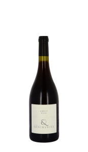 Domaine Leschancel, Le Récit Rouge 2019 Rouge
