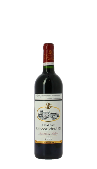 Château Chasse Spleen 2005 Rouge 75cl