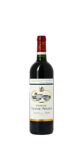 Château Chasse Spleen 2010 Rouge 75cl