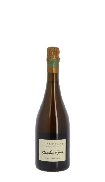 Champagne Brice Allouchery, Les Blanches Vignes 2018 Blanc 75cl