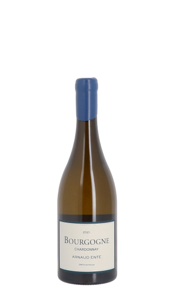 Domaine Arnaud Ente, Bourgogne 2021 Blanc 75cl
