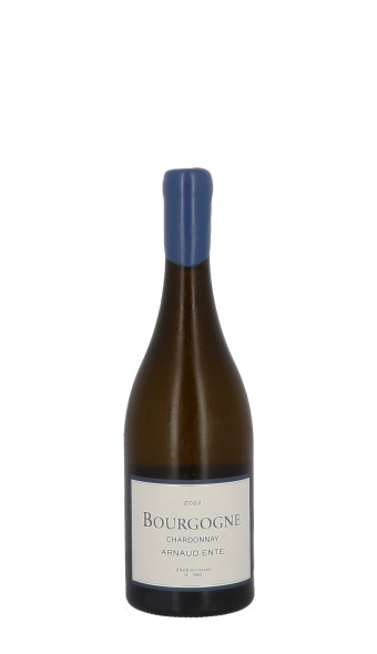 Domaine Arnaud Ente, Bourgogne 2022 Blanc 75cl