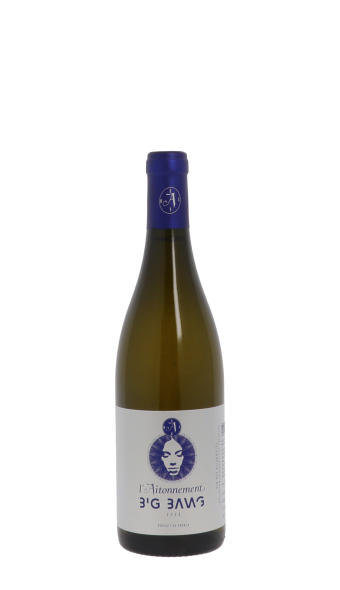 Domaine l'Aitonnement, Big Bang 2023 Blanc 75cl